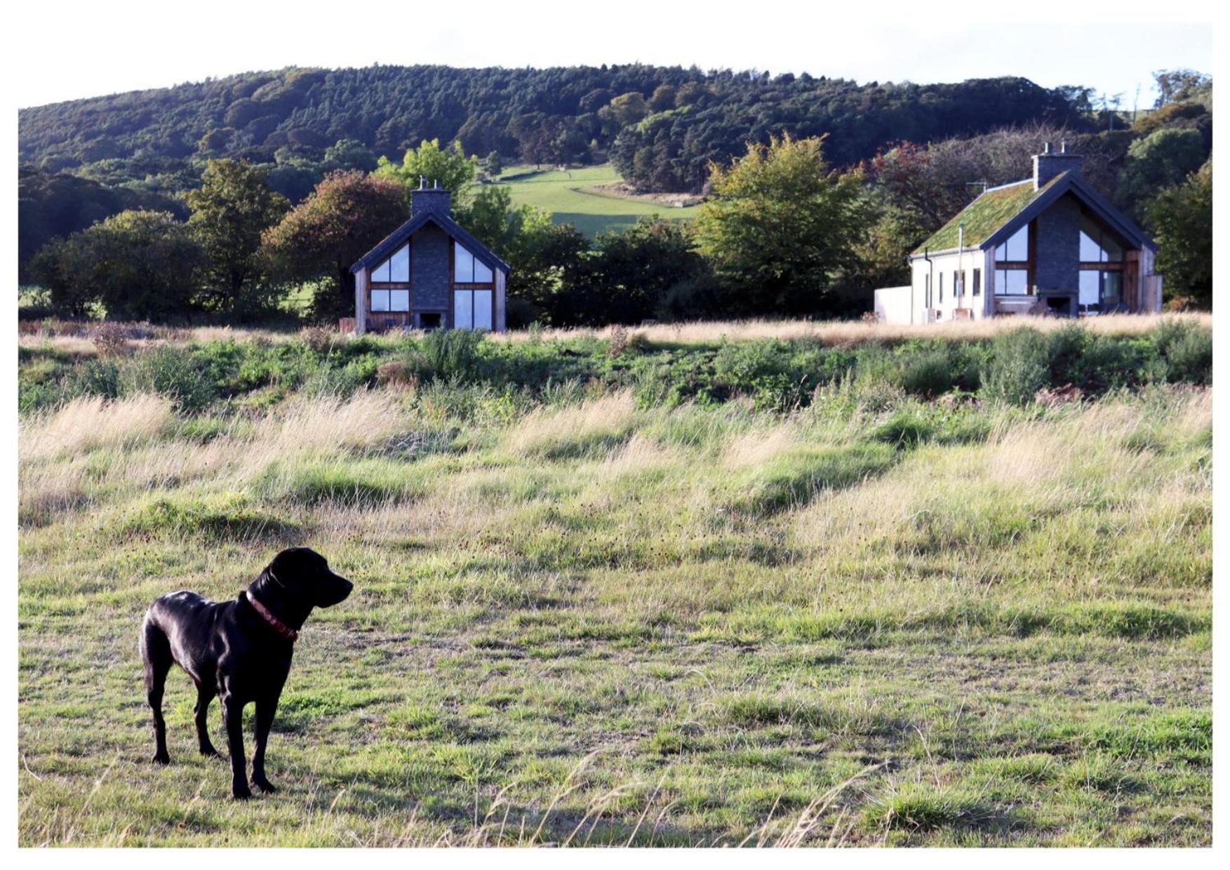 Eco-Lodge With Sea View Charleton Estate Colinsburgh Exterior photo